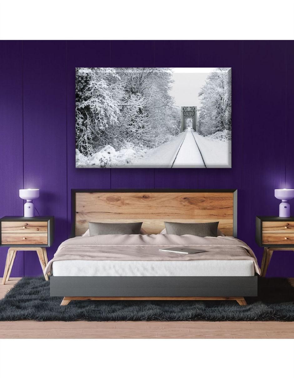 Cuadro decorativo Camino de nieve 6