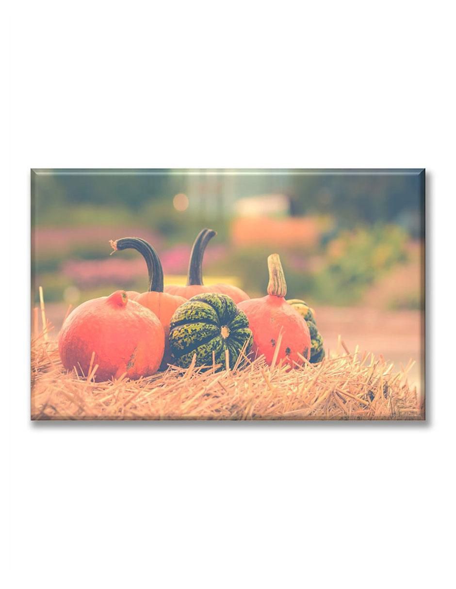 Cuadro decorativo Jardín de calabazas 1