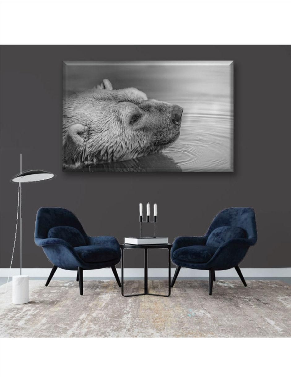Cuadro decorativo Oso nadando 6