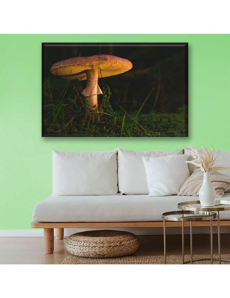 Cuadro decorativo Hongo en la noche 5