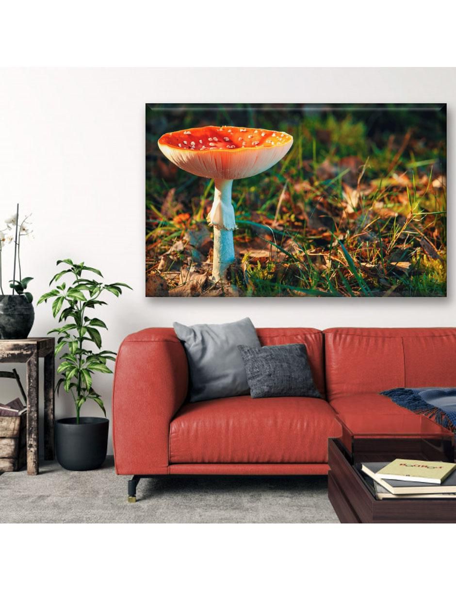 Cuadro decorativo Hongo matamoscas 5