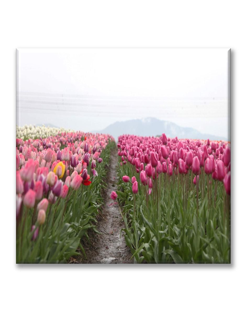 Cuadro decorativo Industria Grafica Ciento 23 Campo de tulipanes