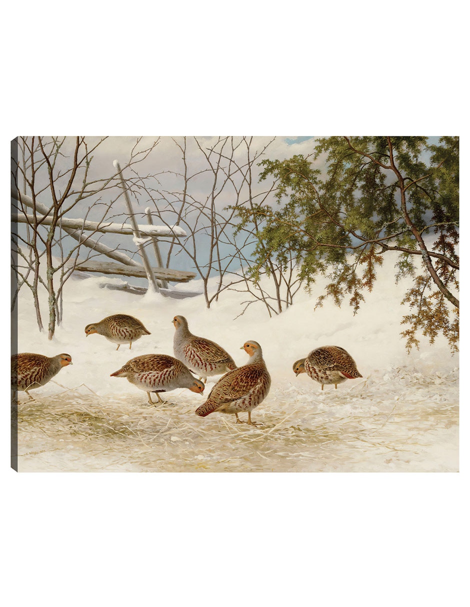 Cuadro decorativo Perdices En La Nieve (1895) técnica mixta Aves Silvestres