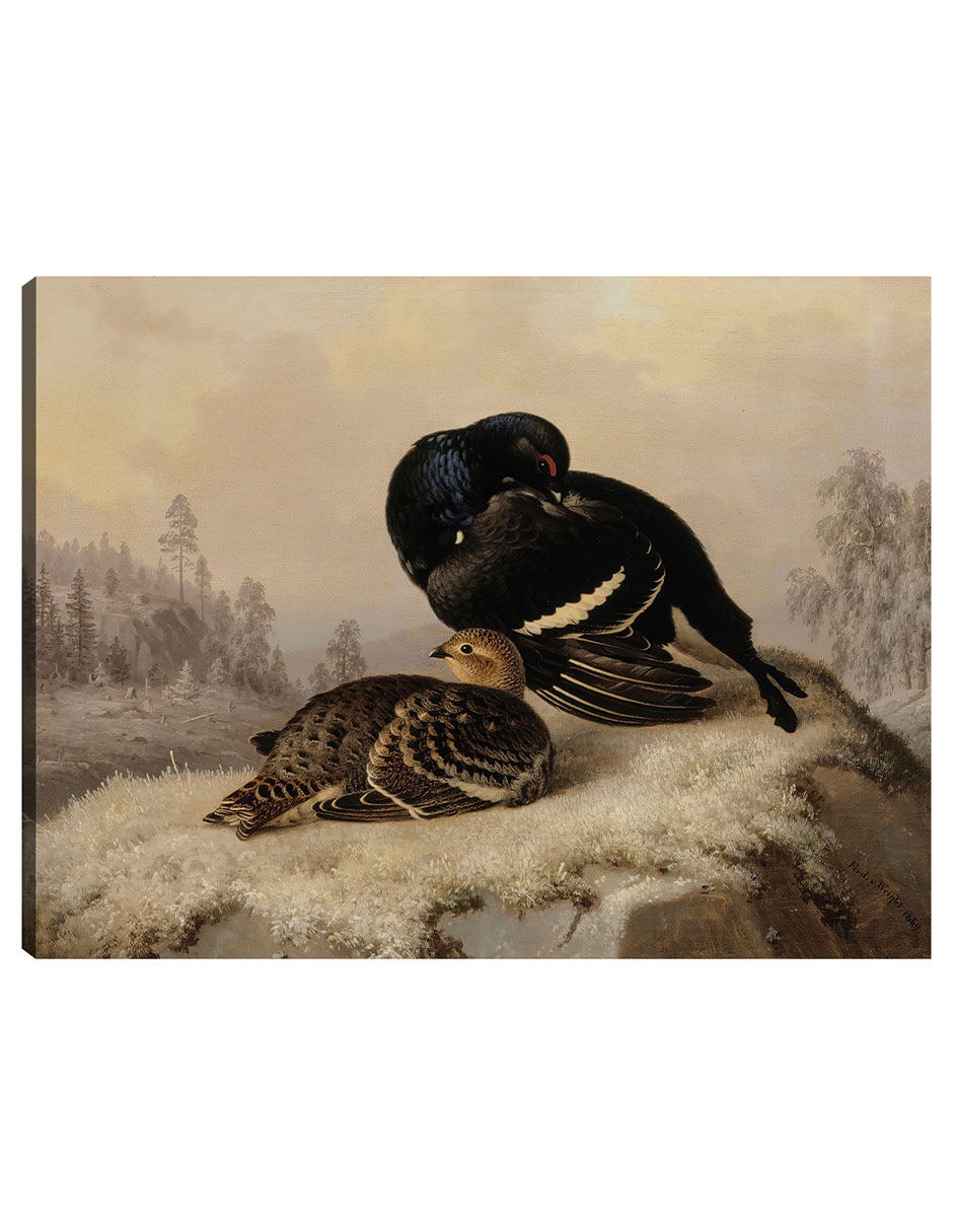 Cuadro decorativo Urogallo Negro, Gallo Y Gallina (1869) técnica mixta Aves Silvestres