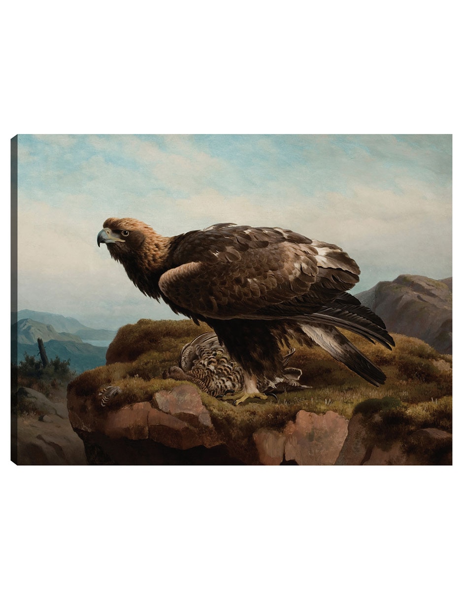 Cuadro decorativo Águila Real Al Borde De Un Acantilado (1880) técnica mixta Aves Silvestres Cuadro decorativo Águila Real Al Borde De Un Acantilado (1880) técnica mixta Aves Silvestres