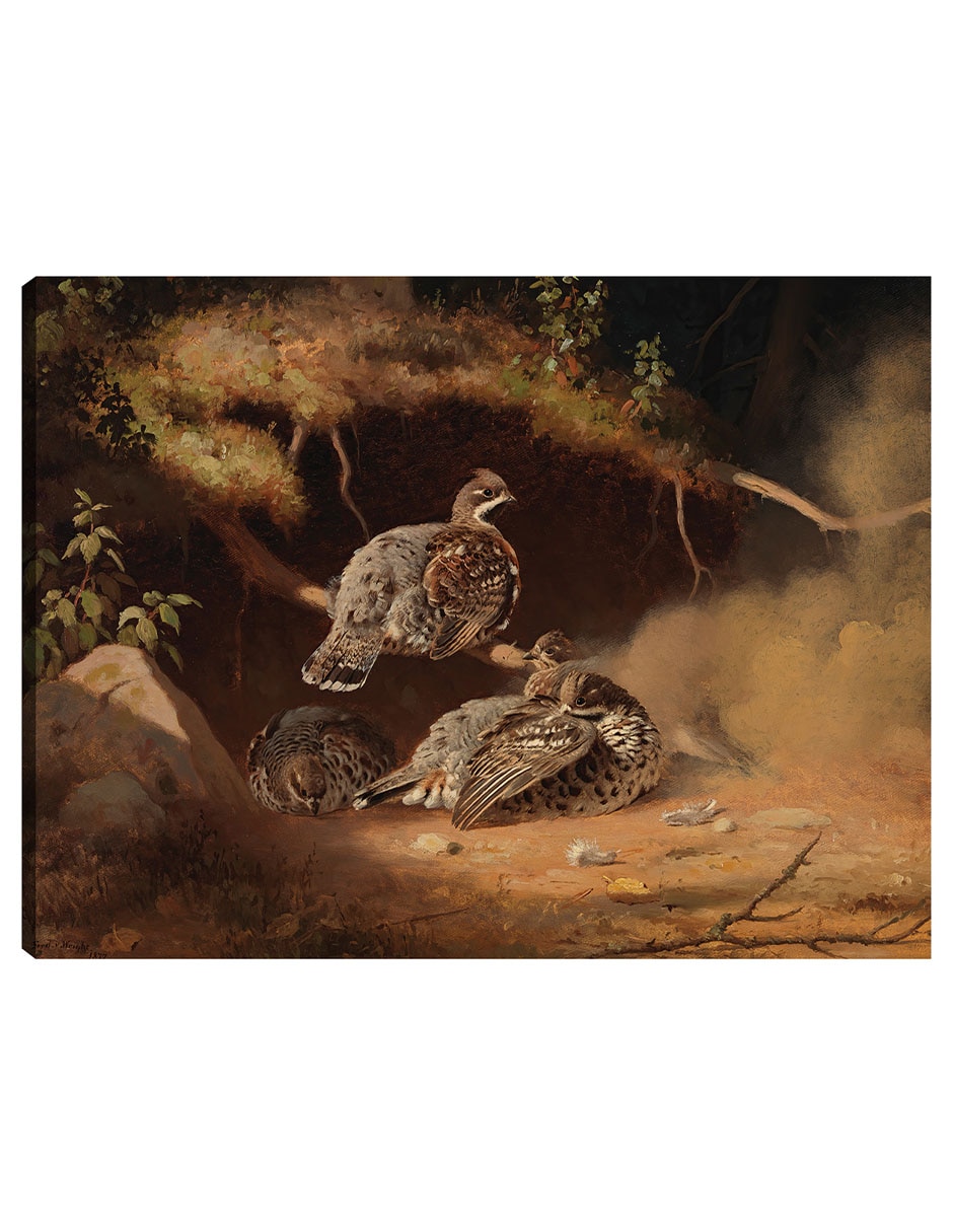 Cuadro decorativo Urogallo Revolcandose En La Arena (1877) técnica mixta Aves Silvestres