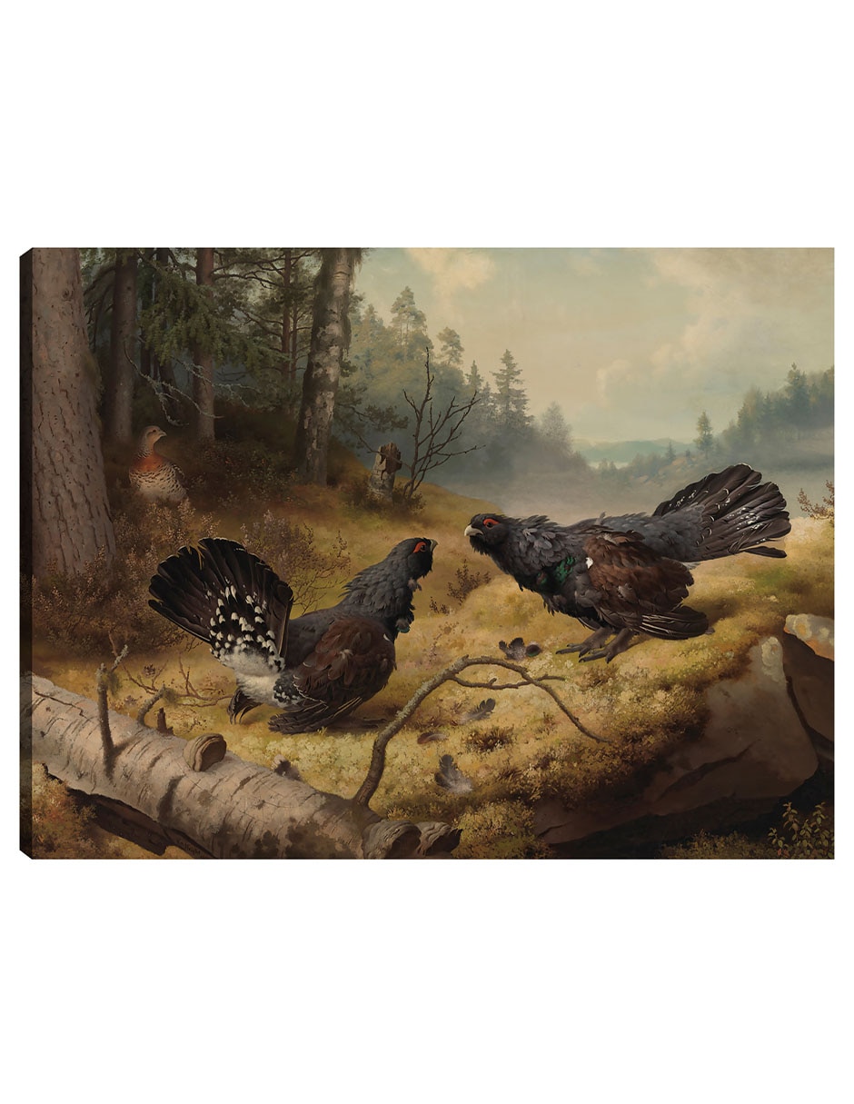 Cuadro decorativo Los Urogallos Luchadores (1886) técnica mixta Aves Silvestres Cuadro decorativo Los Urogallos Luchadores (1886) técnica mixta Aves Silvestres