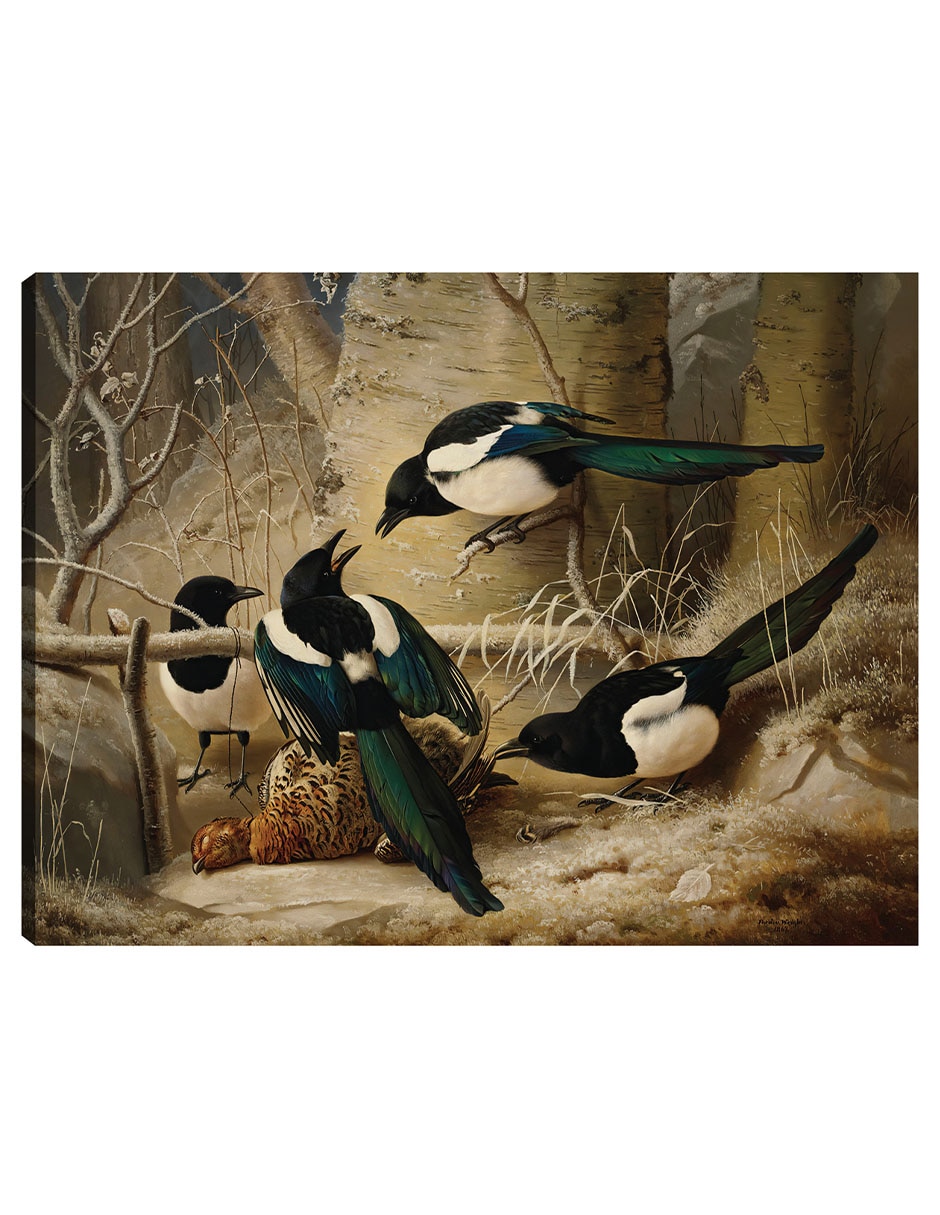 Cuadro decorativo Urracas Alrededor De Un Urogallo Hembra Muerta (1867) técnica mixta Aves Silvestres Cuadro decorativo Urracas Alrededor De Un Urogallo Hembra Muerta (1867) técnica mixta Aves Silvestres