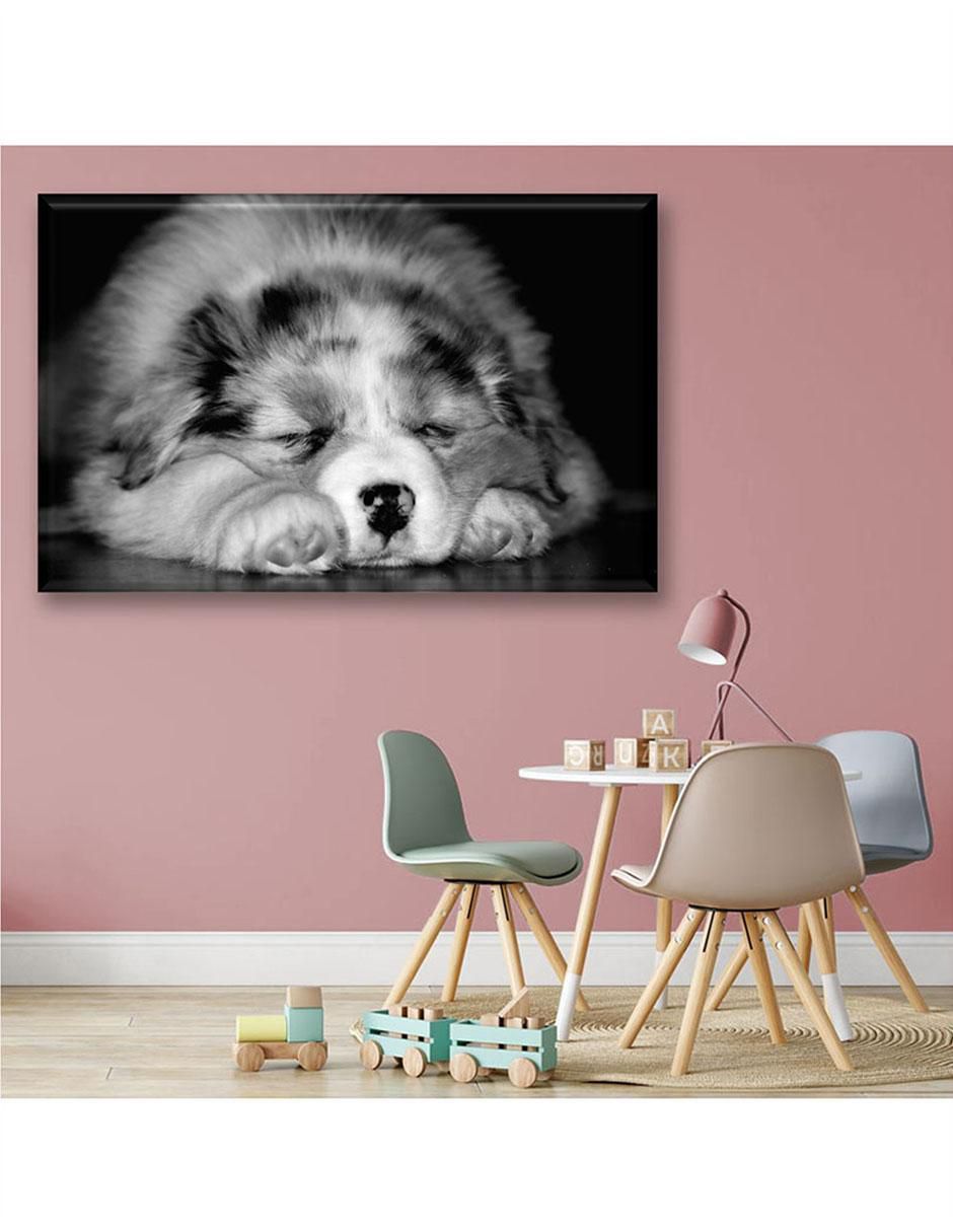 Cuadro decorativo Pixtreats cachorro durmiendo 6