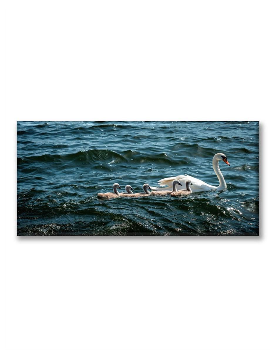 Cuadro decorativo Industria Grafica Ciento 23 Pixtreats cisnes
