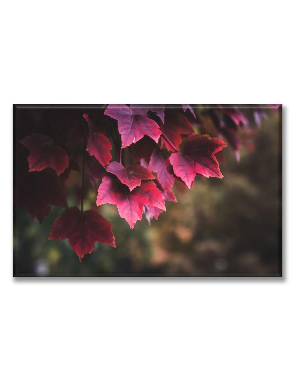 Cuadro decorativo Industria Grafica Ciento 23 Pixtreats hojas de otoño rojas