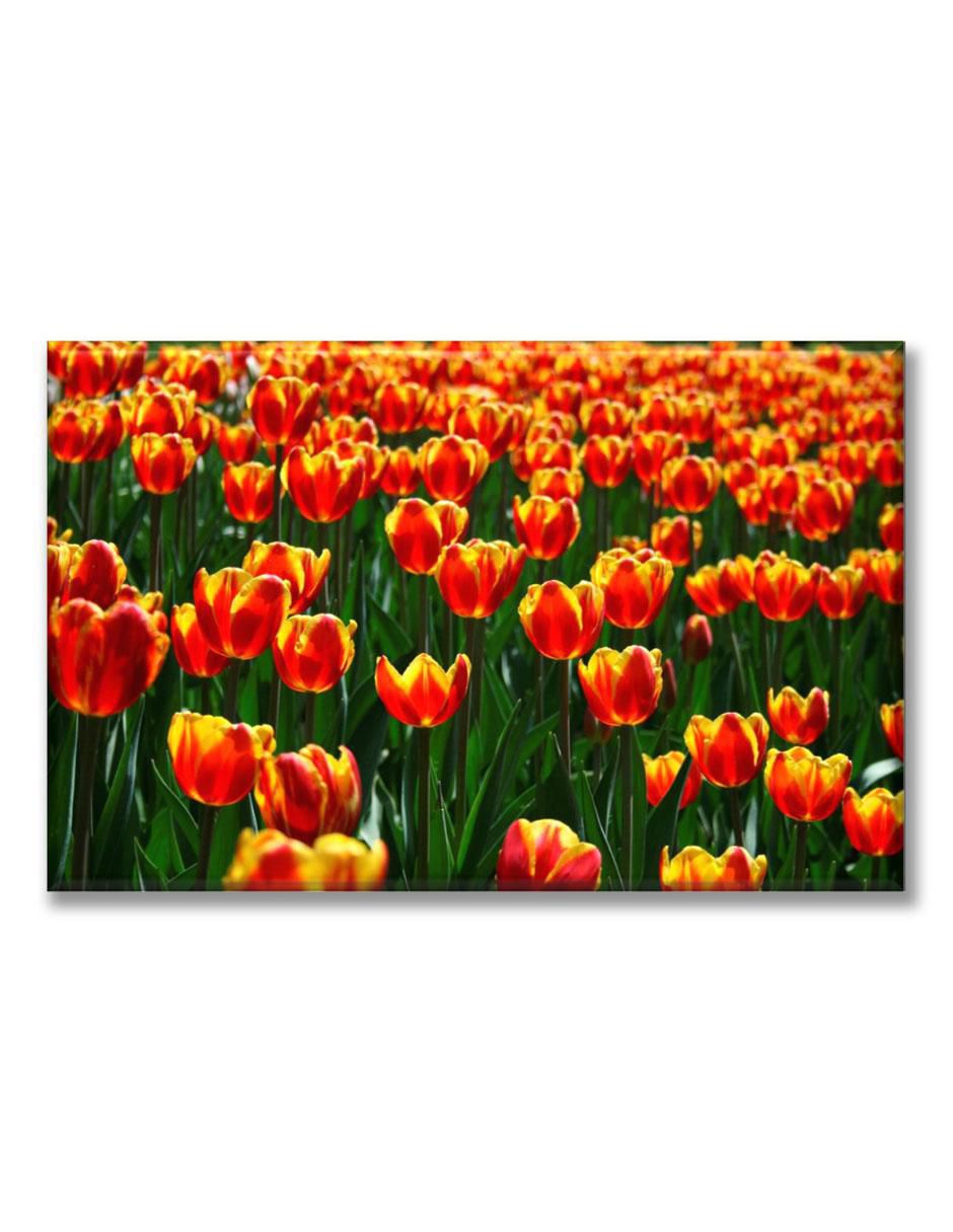 Cuadro decorativo Industria Grafica Ciento 23 Tulipanes naranjas