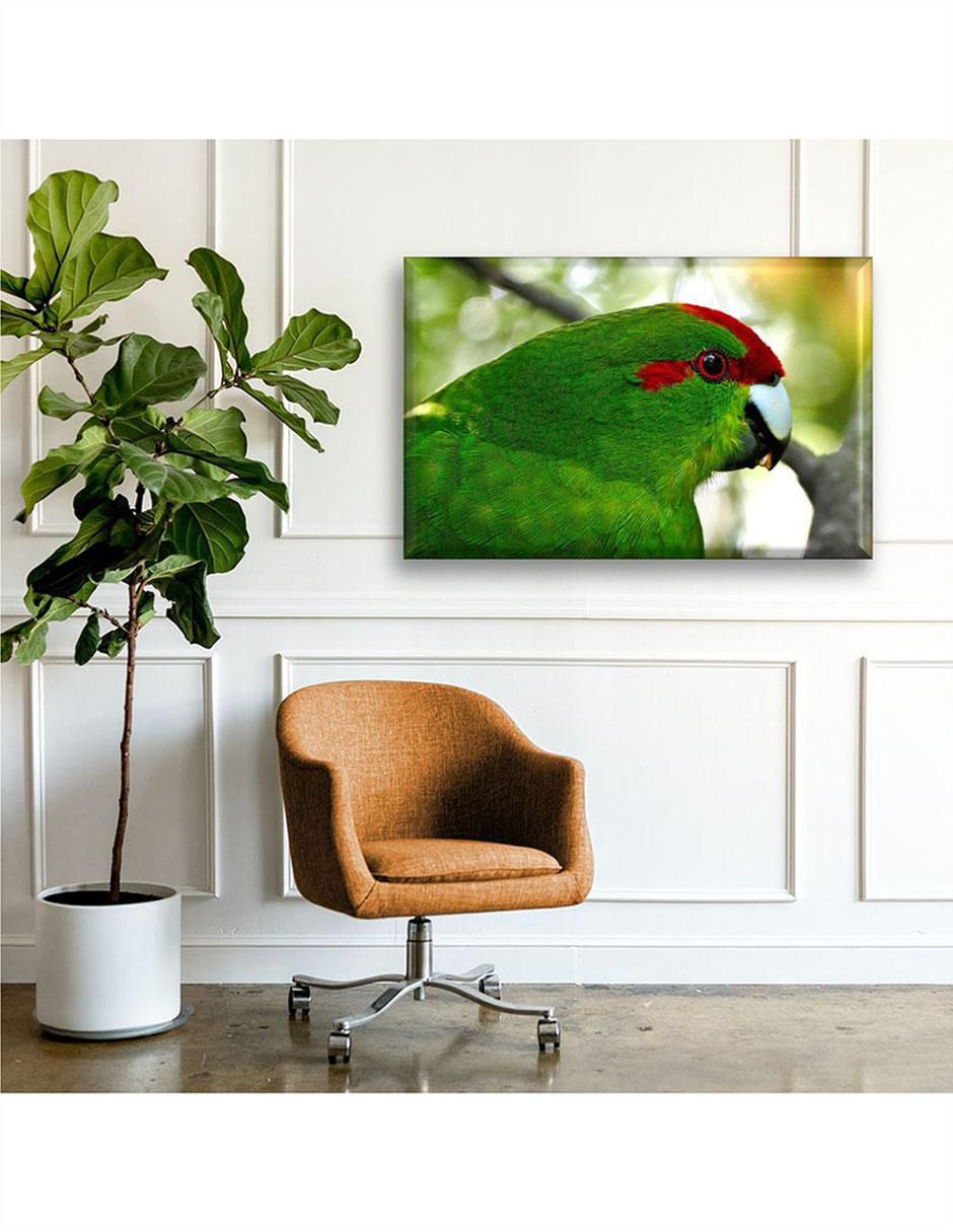 Cuadro decorativo Perico tropical 6