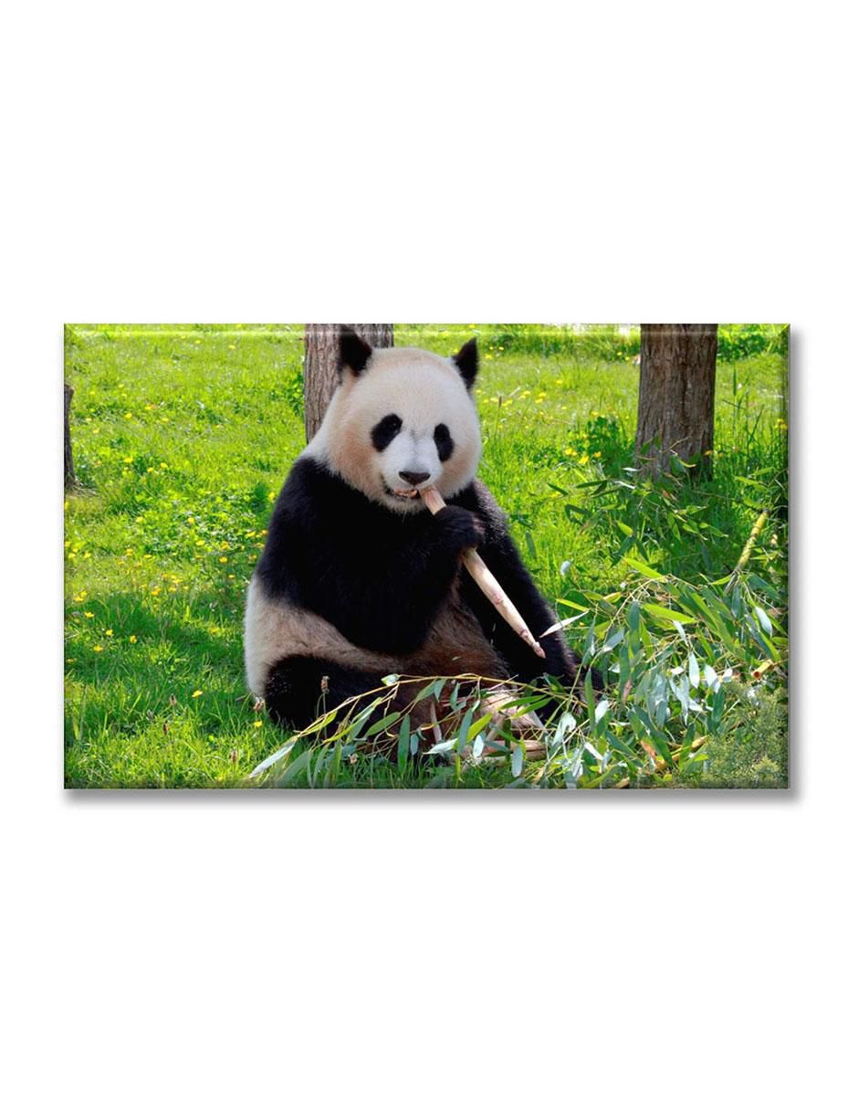 Cuadro decorativo Industria Grafica Ciento 23 Oso panda alimentándose