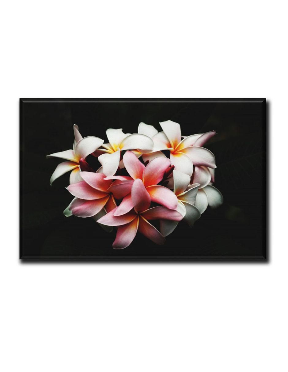 Cuadro decorativo Industria Grafica Ciento 23 Ramo con fondo negro