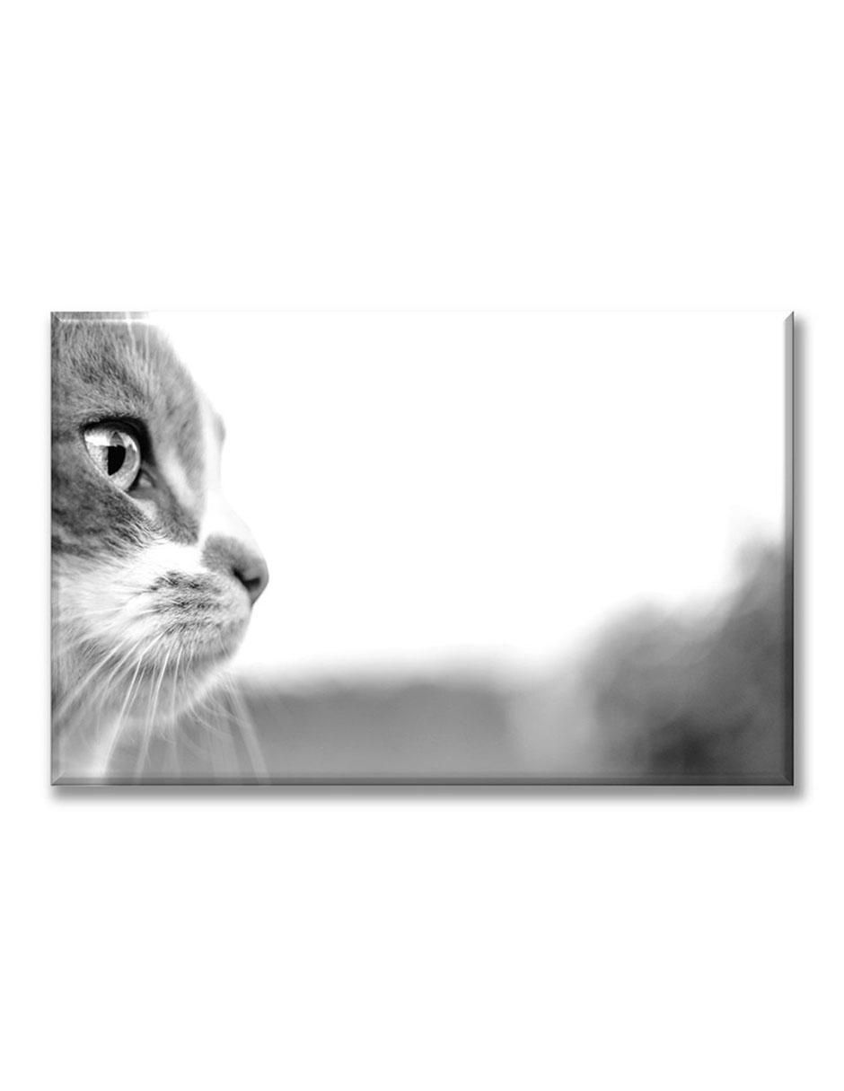 Cuadro decorativo Industria Grafica Ciento 23 Perfil de gato