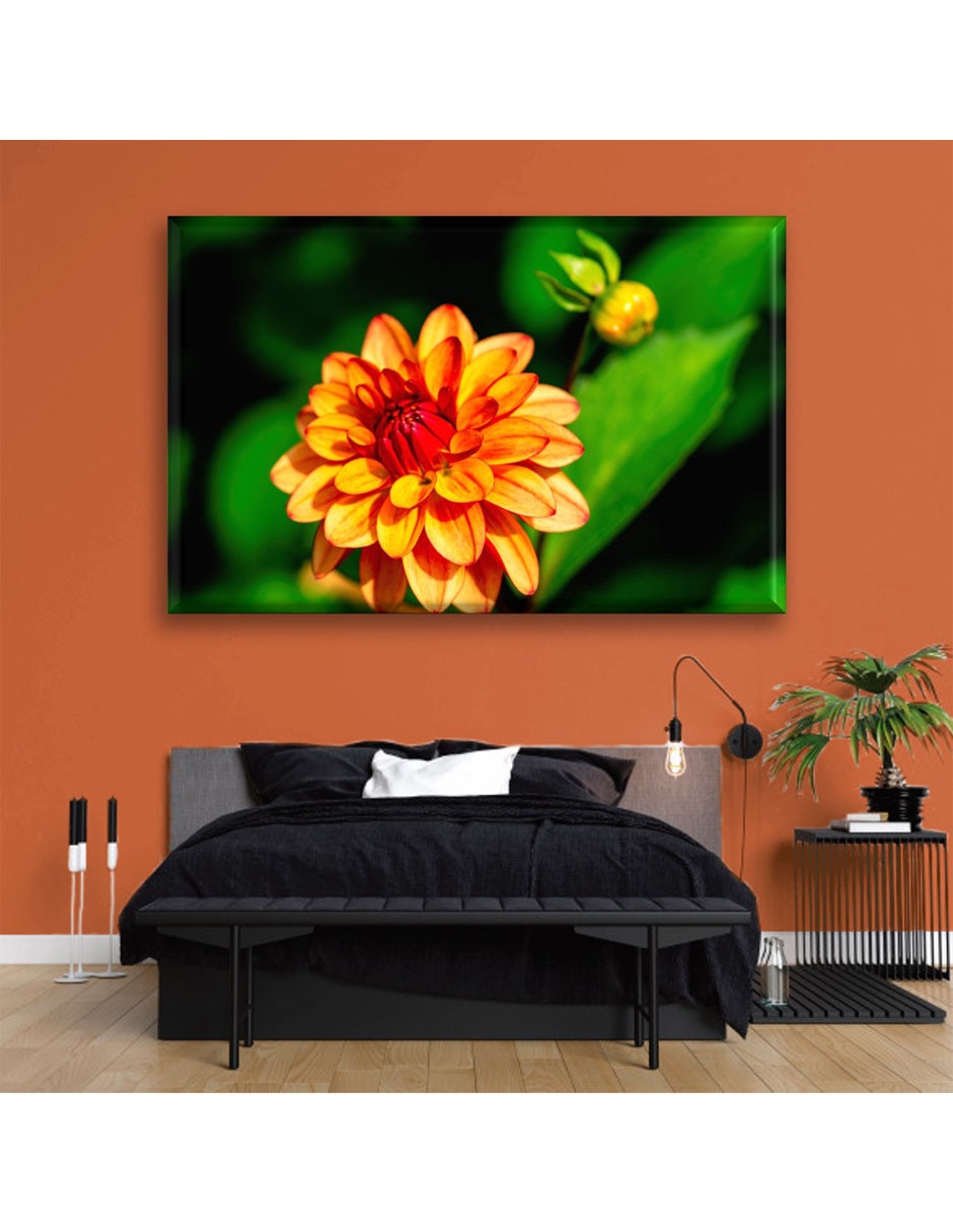 Cuadro decorativo Dalia floreciendo 5