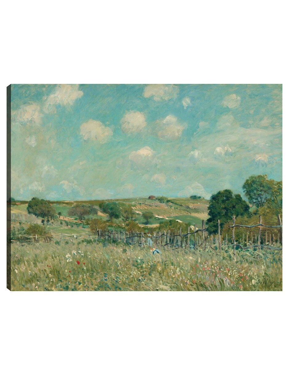 Cuadro decorativo Prado técnica mixta Campos Cuadro decorativo Prado técnica mixta Campos