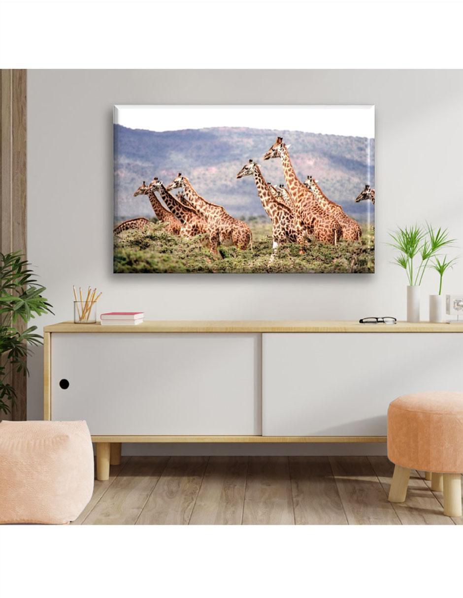 Cuadro decorativo Manada de jirafas 6