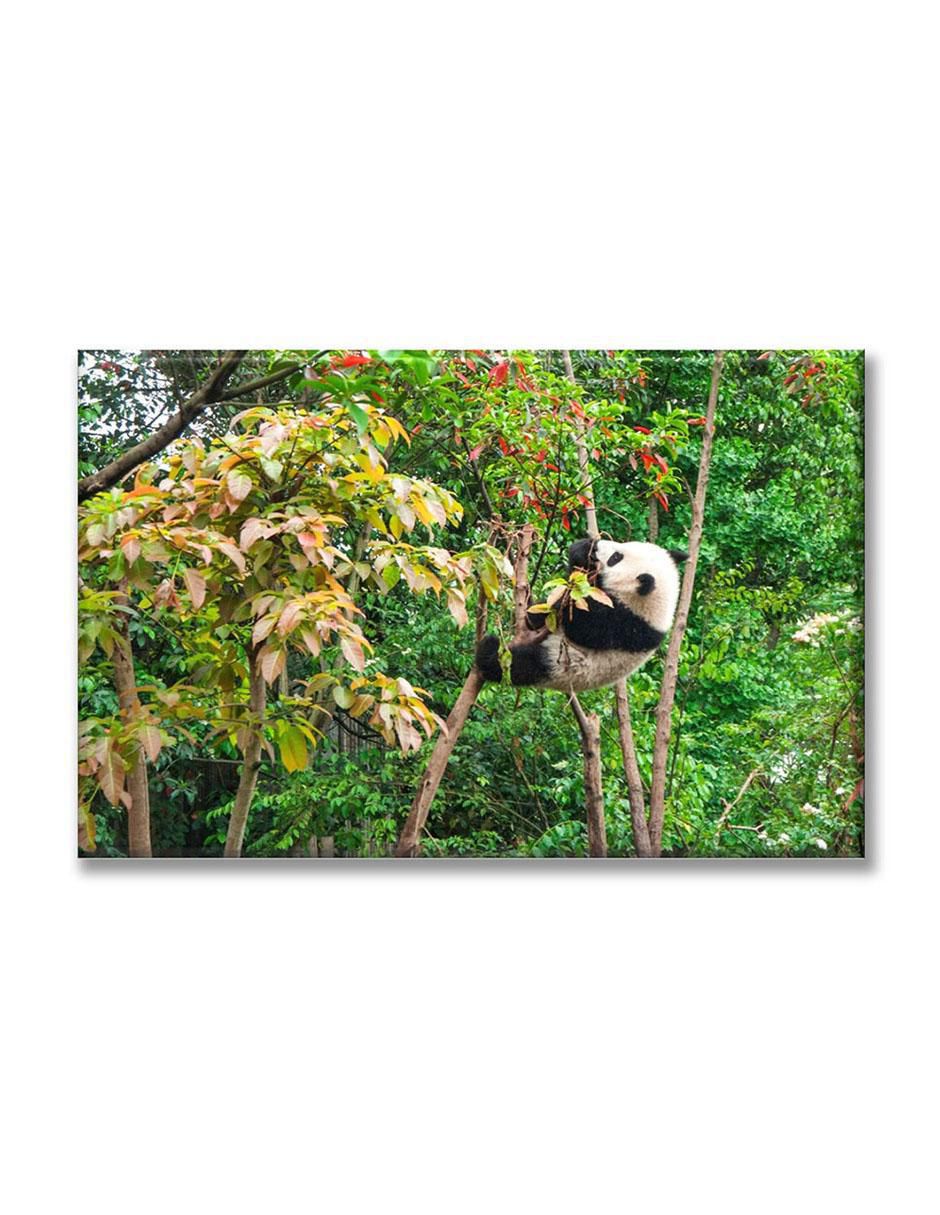 Cuadro decorativo Bebé panda comiendo 1
