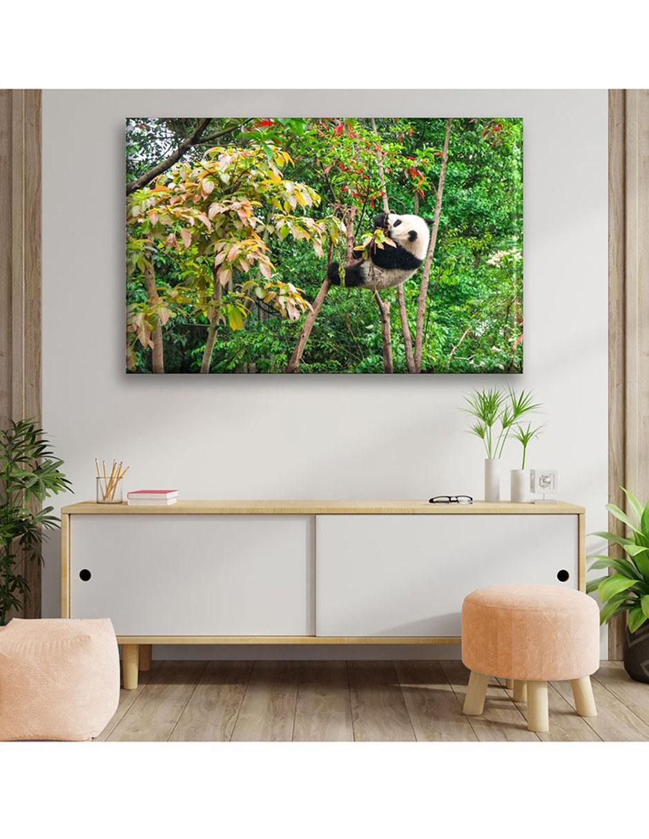 Cuadro decorativo Bebé panda comiendo 5