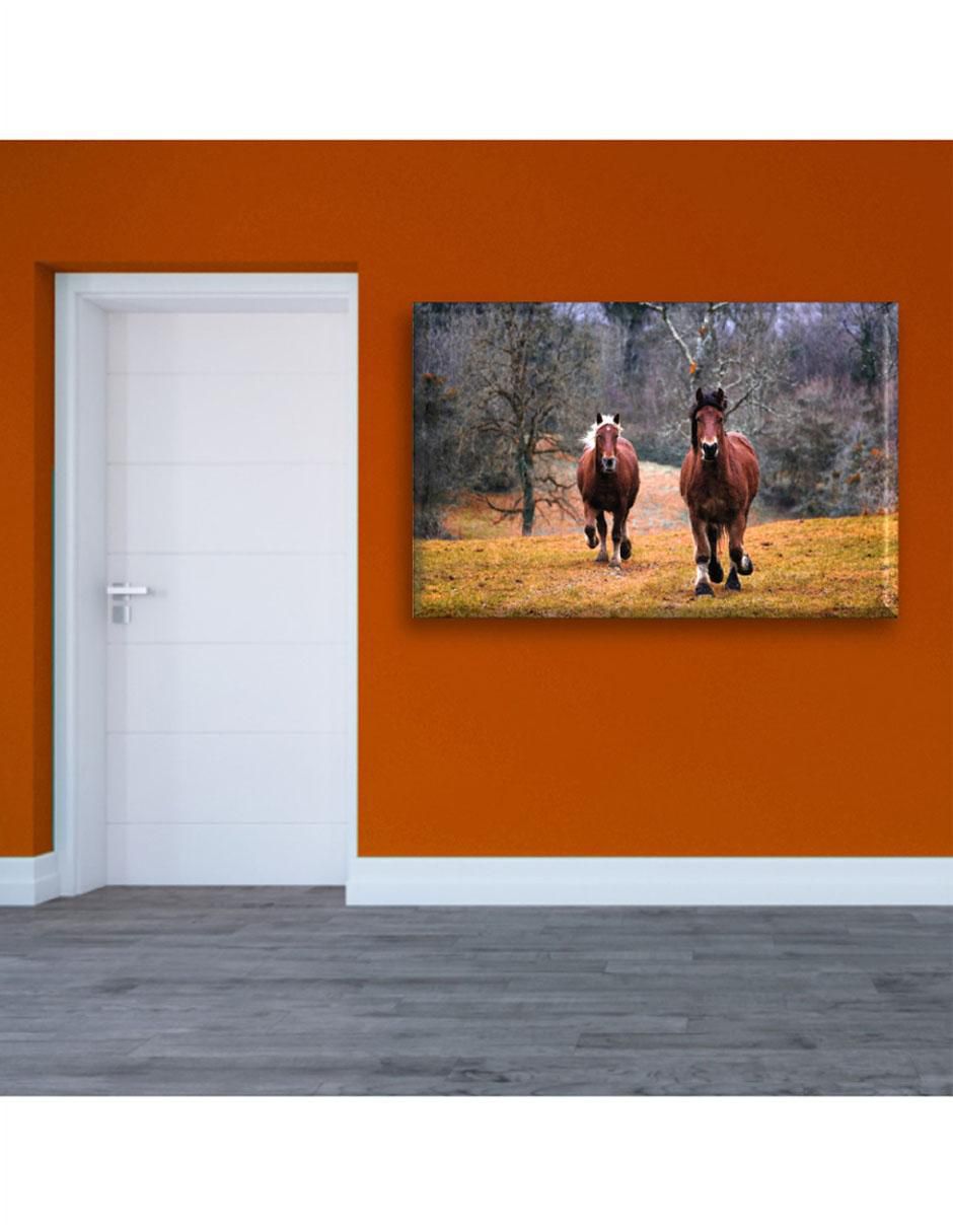 Cuadro decorativo Caballos galopando 5