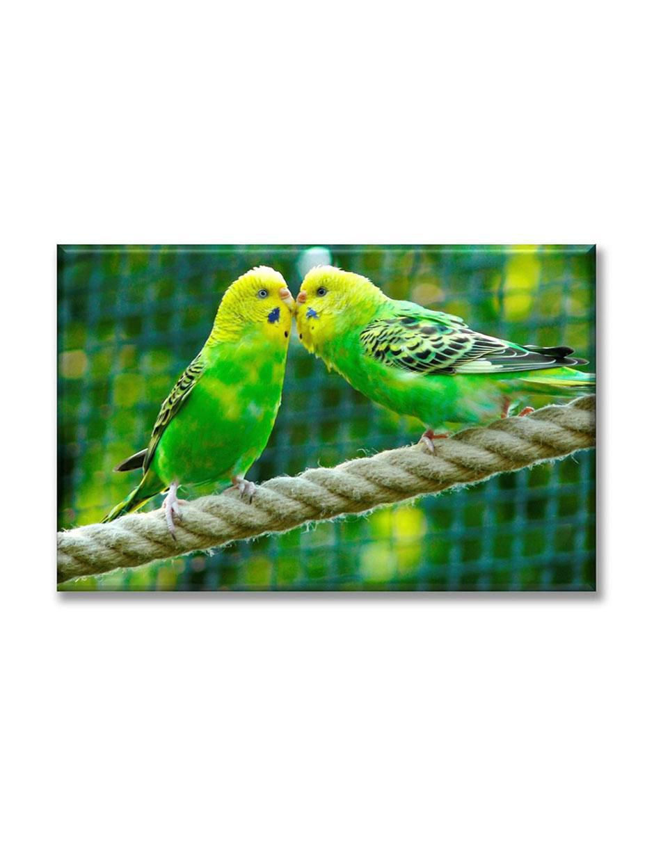 Cuadro decorativo Pericos australianos 1