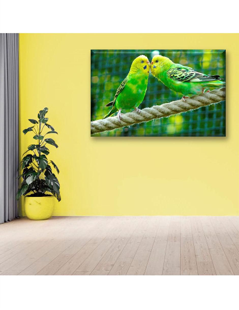 Cuadro decorativo Pericos australianos 5