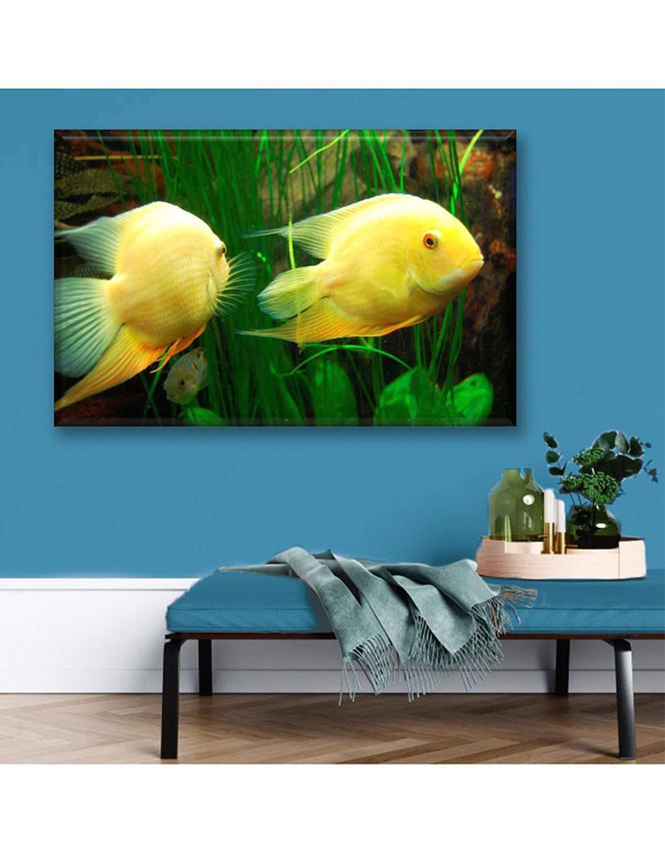 Cuadro decorativo Peces exóticos 5