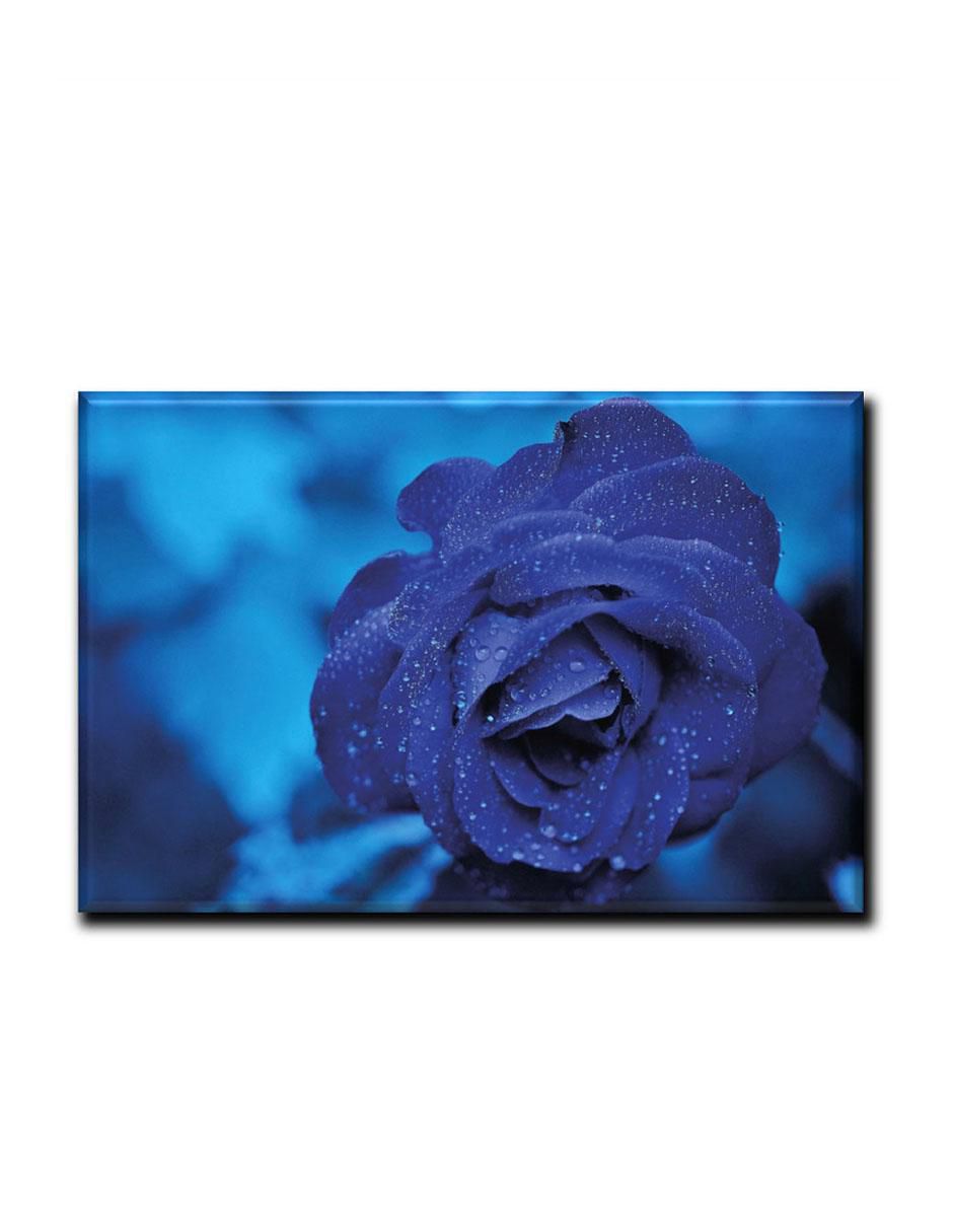 Cuadro decorativo Rosa azul 1