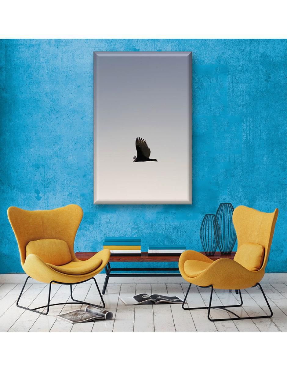 Cuadro decorativo Águila volando 5