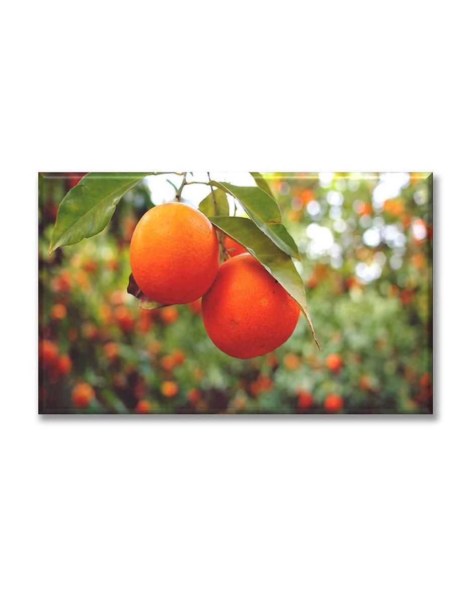Cuadro decorativo Cosecha de naranjas 1