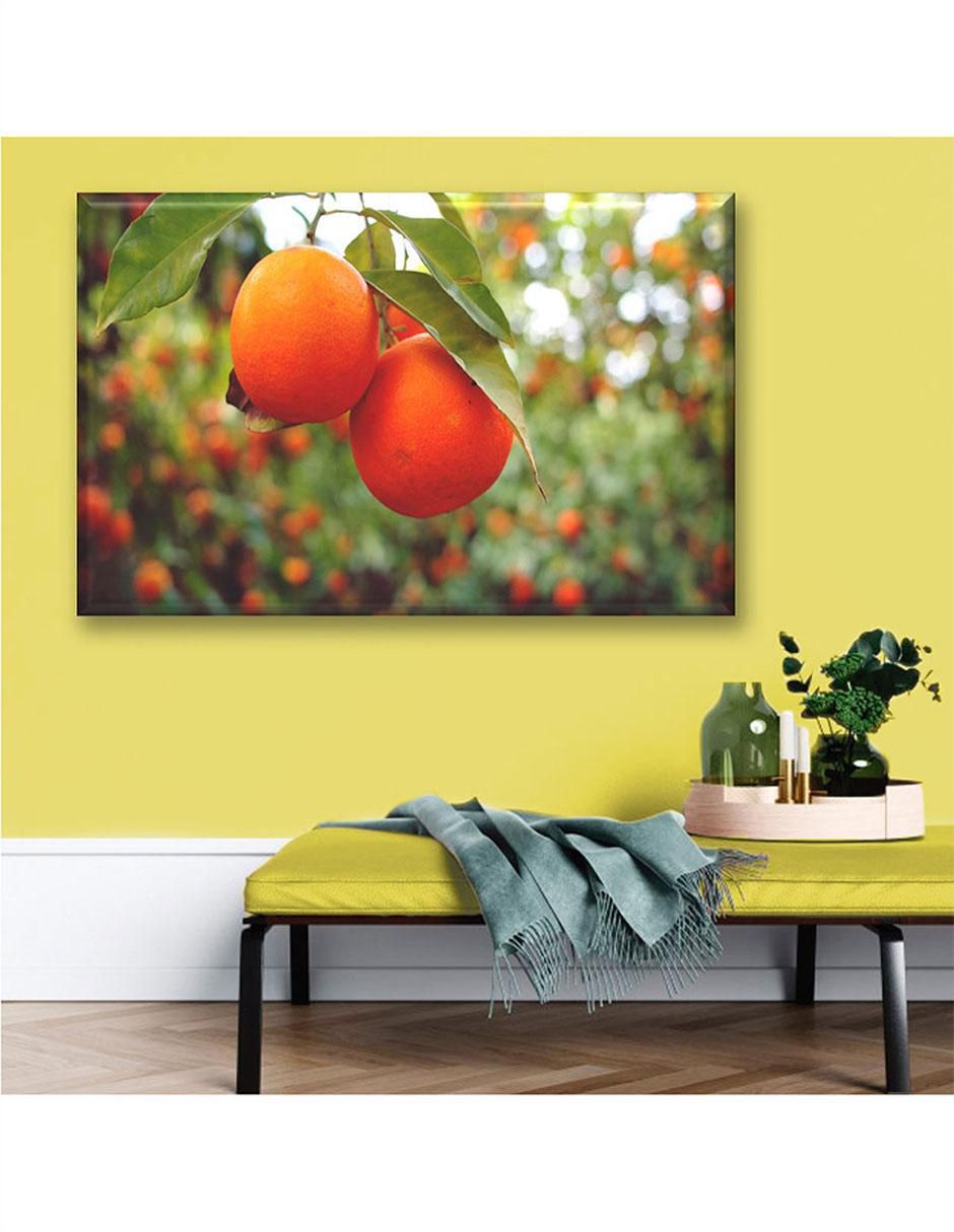 Cuadro decorativo Cosecha de naranjas 5