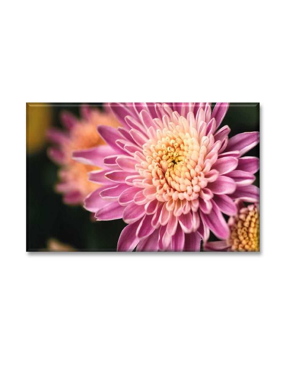 Cuadro decorativo Dalia rosa 1