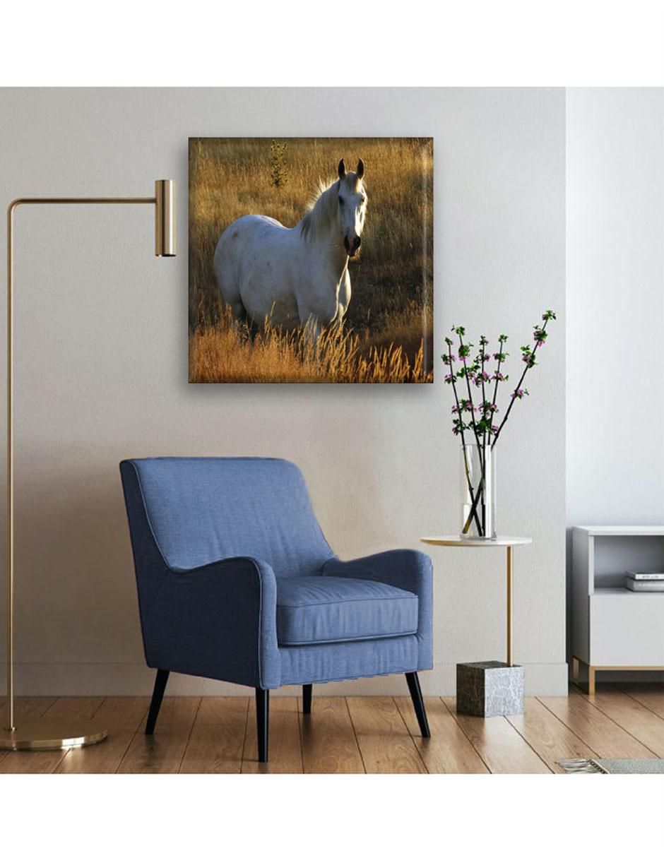 Cuadro decorativo Caballo 5
