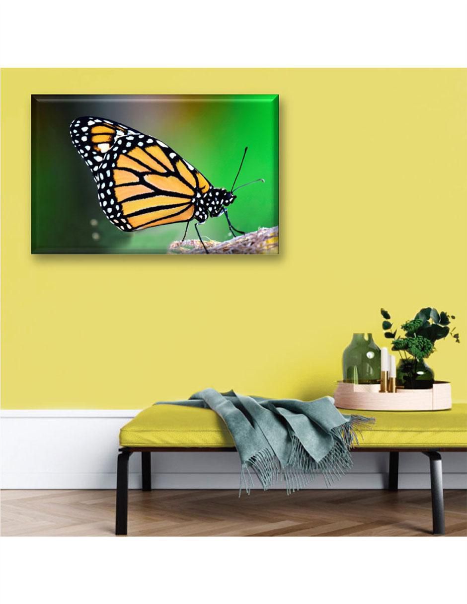 Cuadro decorativo Industria Grafica Ciento 23 Mariposa monarca
