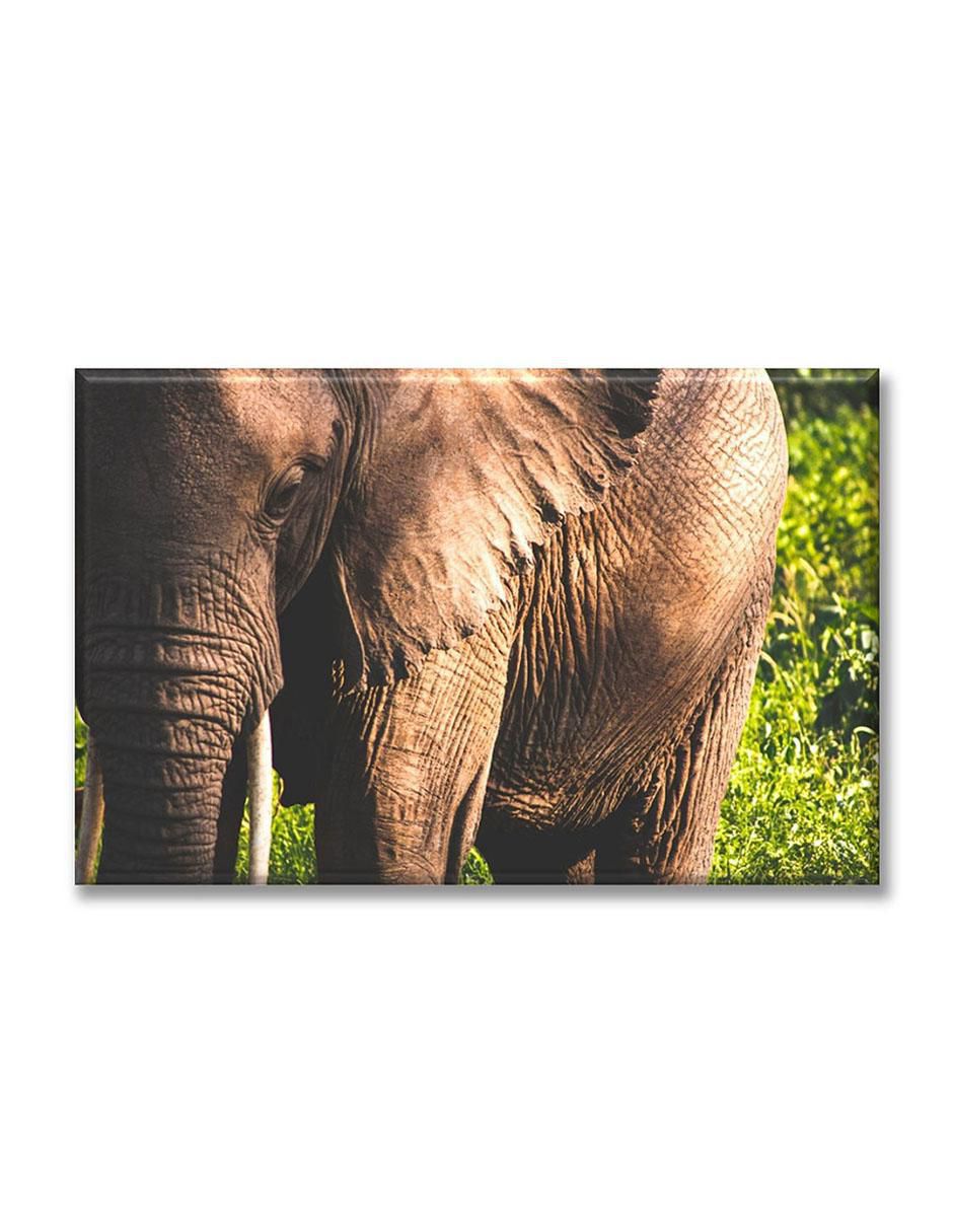 Cuadro decorativo Industria Grafica Ciento 23 Mirada de elefante