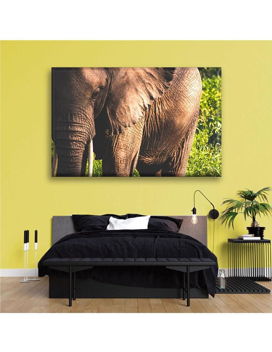 Cuadro decorativo Industria Grafica Ciento 23 Mirada de elefante