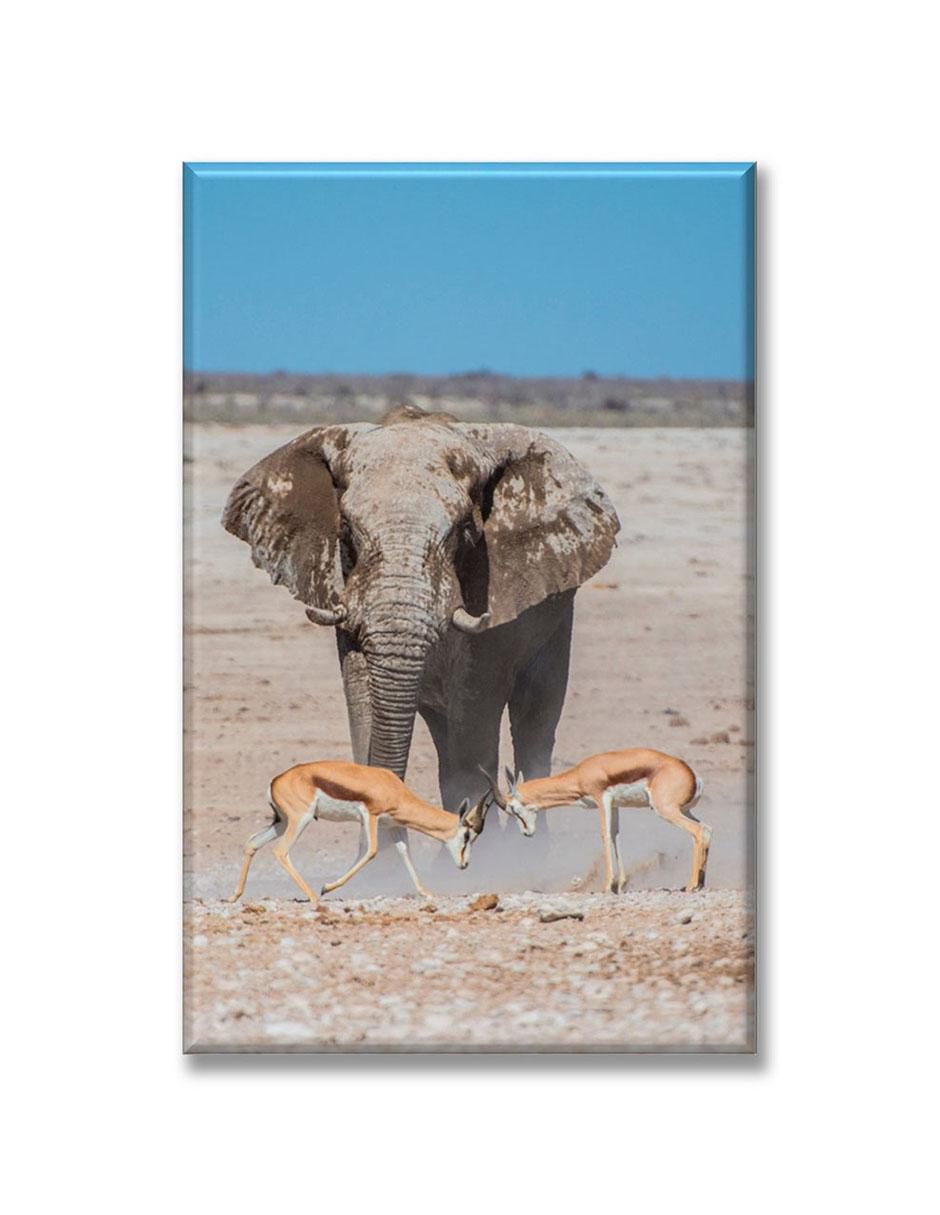 Cuadro decorativo Elefante y gacelas 1