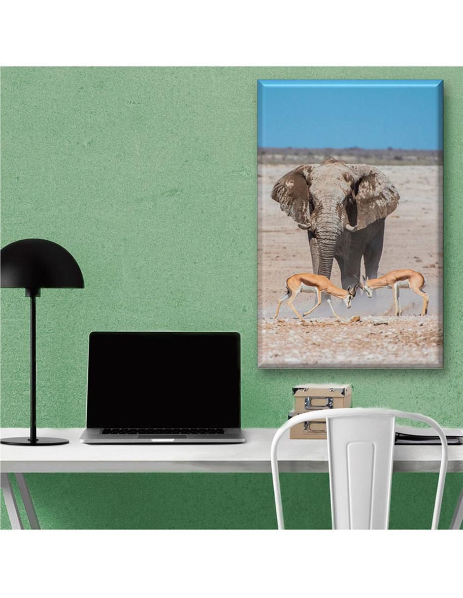 Cuadro decorativo Elefante y gacelas 5