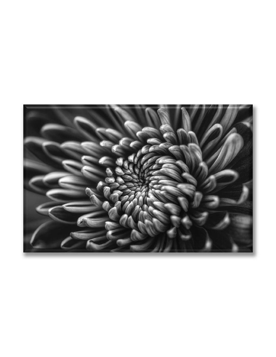 Cuadro decorativo Dalia blanco y negro Cuadro decorativo Dalia blanco y negro