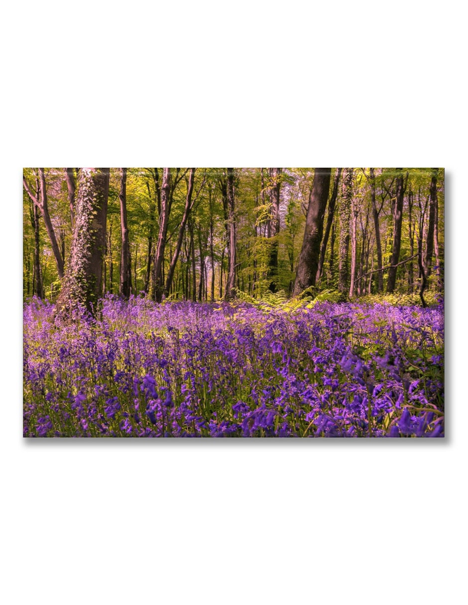 Cuadro decorativo Bosque lavanda 1