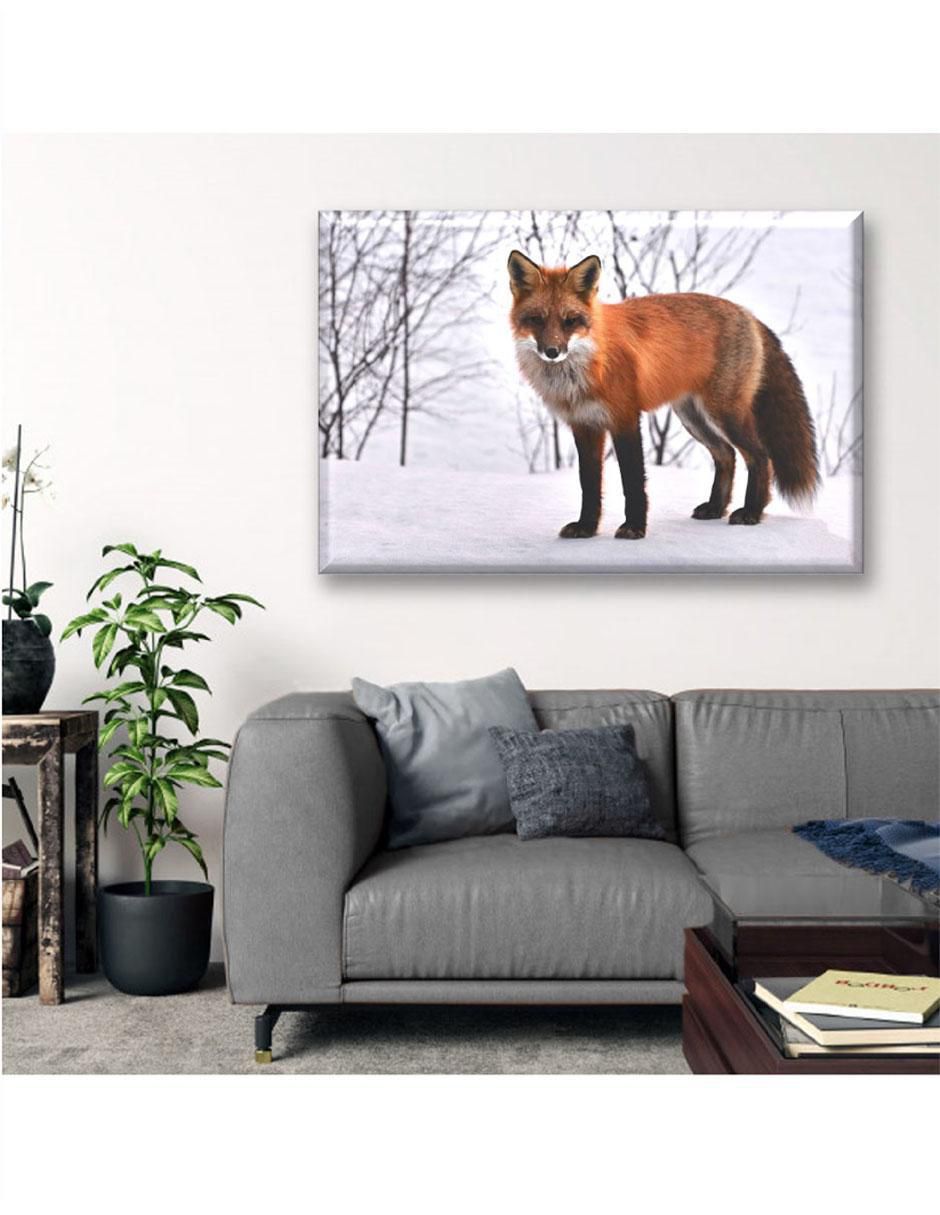 Cuadro decorativo Zorro rojo 5