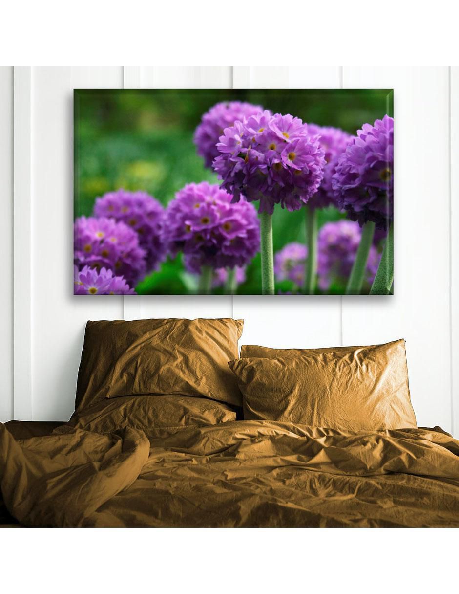 Cuadro decorativo Flor primula 5