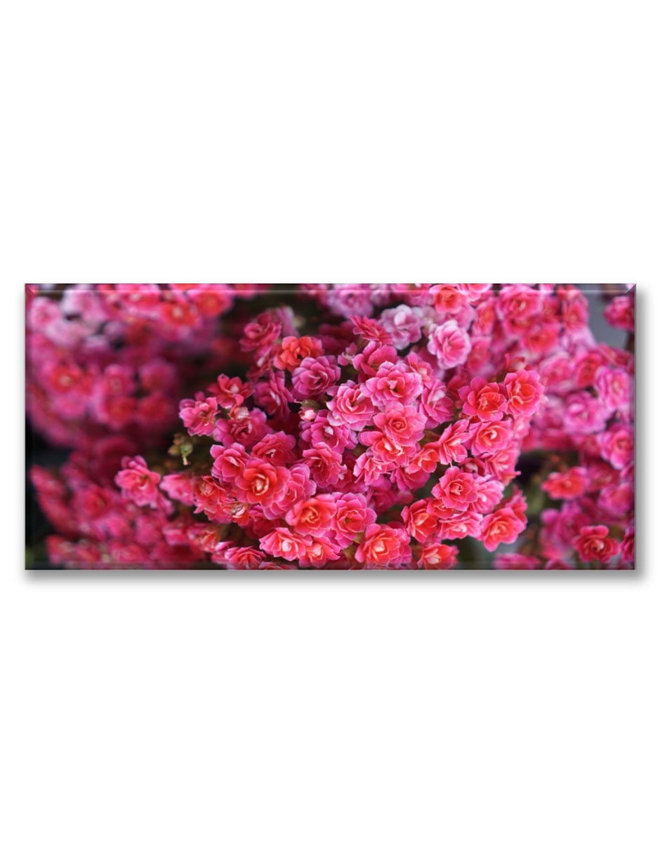 Cuadro decorativo Florecitas rosas 1