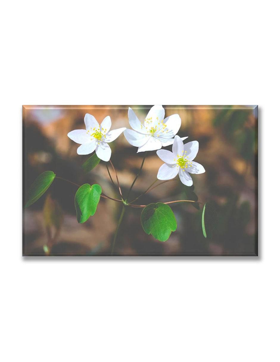 Cuadro decorativo Flores Cuadro decorativo Flores