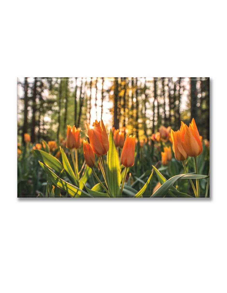 Cuadro decorativo Tulipanes 1