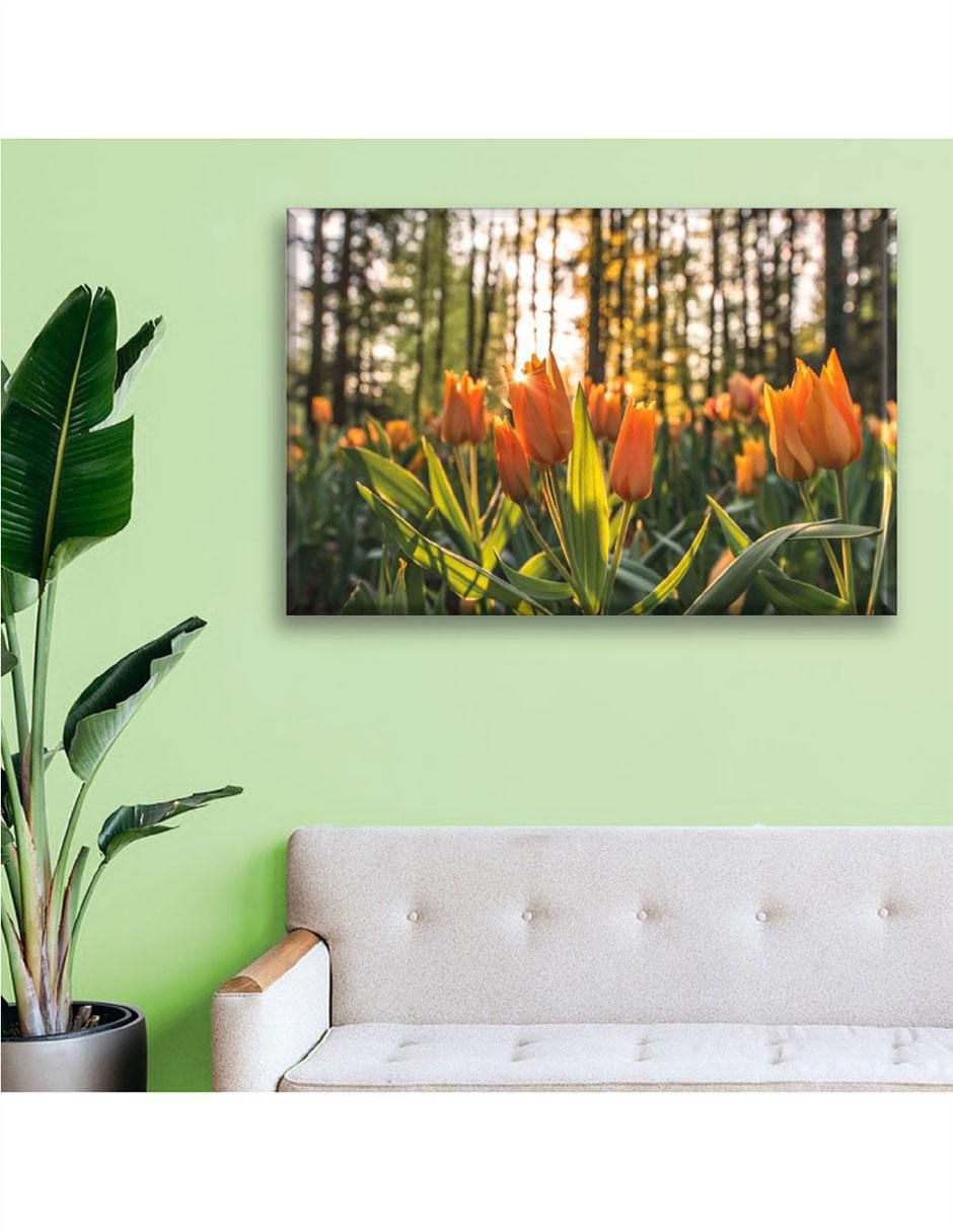 Cuadro decorativo Tulipanes 5