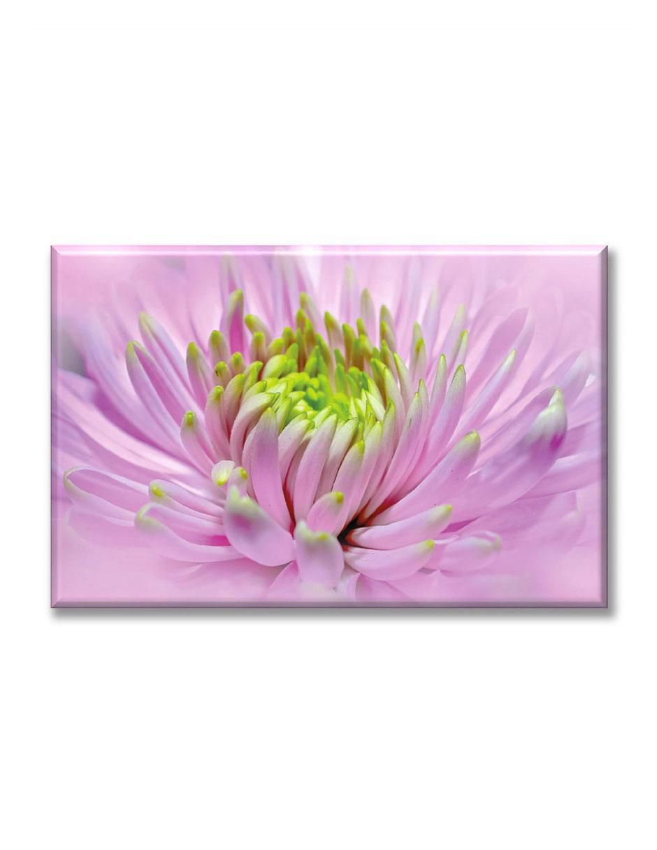 Cuadro decorativo Dalia rosa 1