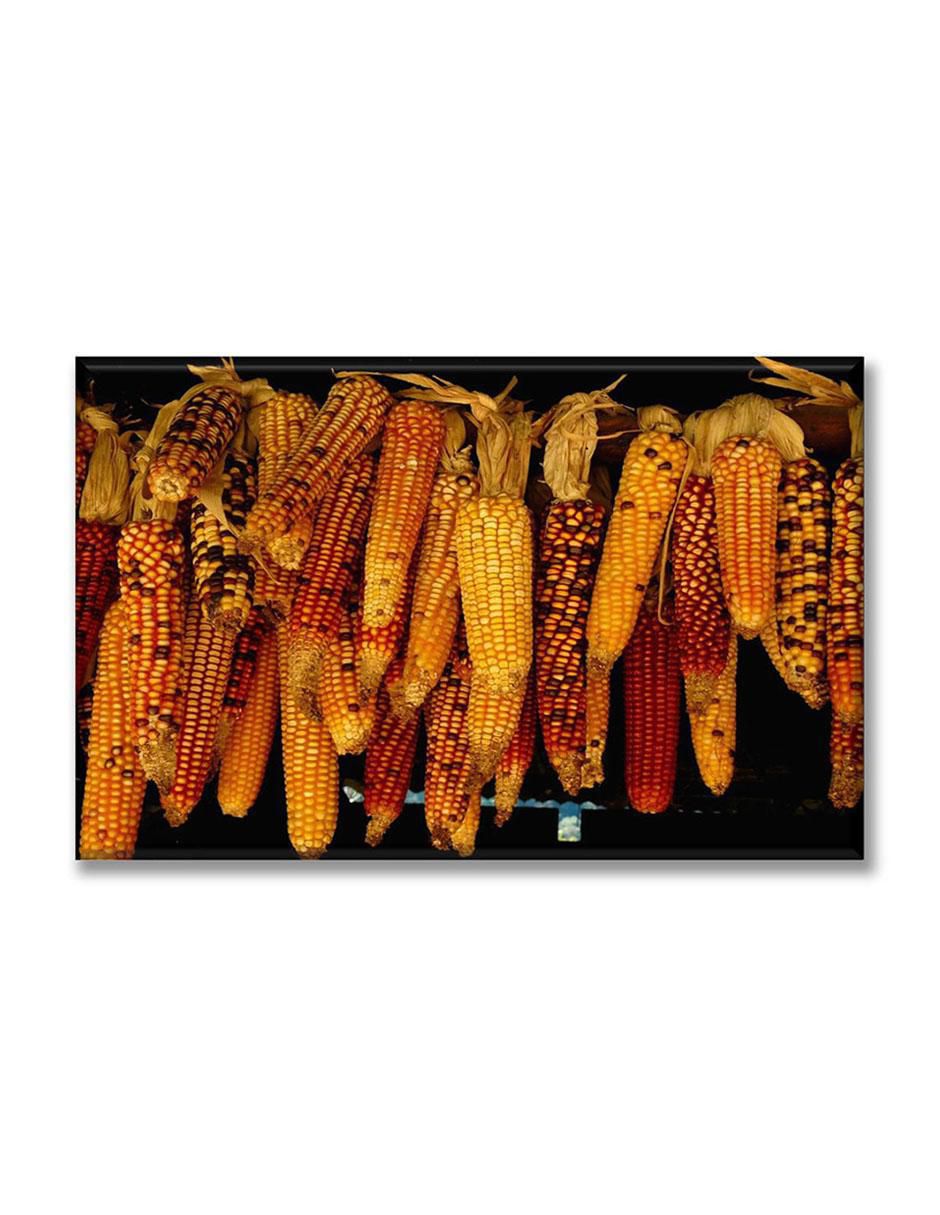 Cuadro decorativo Distintos elotes 1